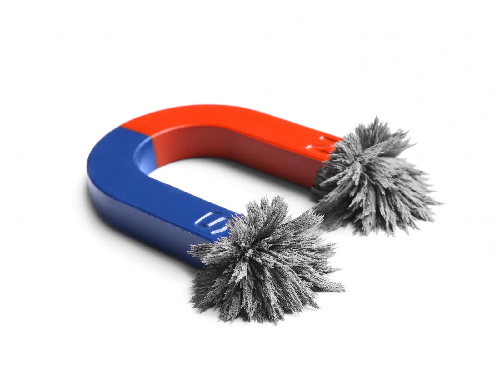 Iron filings attached to a magnet
