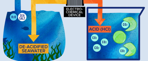 Illustration showing marine carbon dioxide removal. Seawater on the left containing H2O and sea salt molecules enter an electrochemical device in the middle. De-acidified seawater leaves the device and goes back into the ocean. Acid containing HCl leaves the device and goes into a beaker on the right that contains seawater and microalgae. CO2 molecules form in the beaker. The microalgae eat the CO2 molecules and grow quickly.