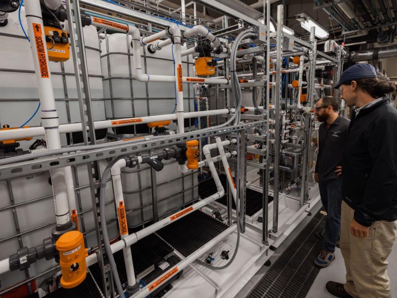 Two scientists stand next to laboratory equipment made of of many interconnecting tubes.