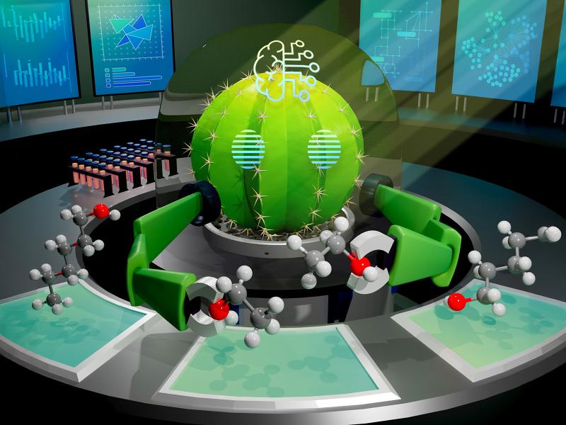 Image of a cactus robot holding molecules